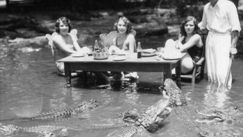 Foto ekstrem, piknik di peternakan aligator di California pada tahun 1920-an. Lokasinya terletak di daerah Lincoln Heights, Los Angeles antara tahun 1907 sampai 1953. Foto: Boredpanda