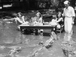 Foto Bersejarah dari Demam Lady Diana Sampai Kucing Bill Clinton