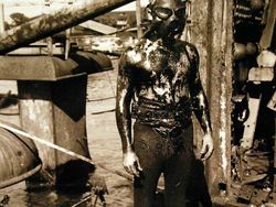 Ada Cerita Mencengangkan di Balik Deretan Foto Ini