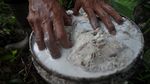 Wow, Harga Karet di Bengkulu Turun