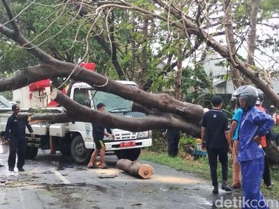 Angin Kencang Terjang Lamongan, Pohon Tumbang dan Puluhan Rumah Rusak