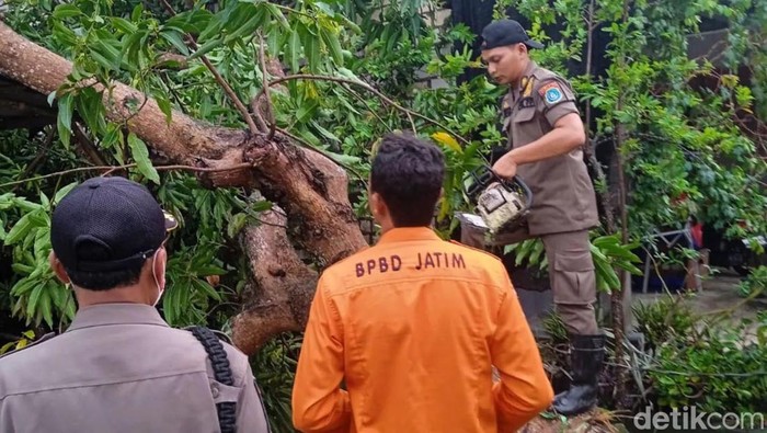 hujan dan angin kencang di lamongan