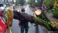 Joko menambahkan selain pohon tumbang, pihaknya juga mencatat setidaknya ada 46 rumah warga yang rusak di bagian atap akibat terjangan angin kencang. Rumah warga tersebut berada di Desa Badurame, Kecamatan Turi.