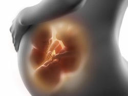 Peneliti Israel: 50% Umur Manusia Ditentukan Sejak di Kandungan