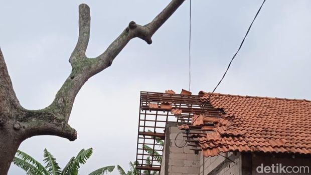 Imbas hujan deras disertai angin kencang di Lamongan.