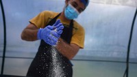 Kondisi itu diperburuk dengan sanksi ekonomi yang dijatuhkan Amerika Serikat, serta memburuknya industri pariwisata yang menjadi andalan perekonomian Kuba. 
