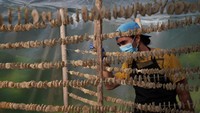Cara membuatnya pun mudah. Pisang dikeringkan, lalu digiling hingga menjadi tepung. 