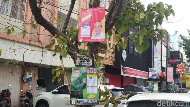 Marak spanduk caleg dipaku di pohon di Makassar.