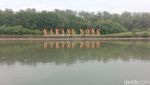 Potret 7 Pantai di Indramayu Buat Liburan, Bali 2 hingga Hutan Mangrove