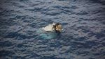 Pesawat Militer AS Jatuh di Laut Jepang, Ini Bangkainya