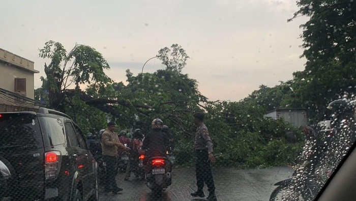 Pohon tumbang di Jalan Daan Mogot, Jakarta Barat menutup akses lalu lintas ke arah Cengkareng