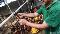Untuk saat ini, ia mampu menjual hingga 20 baki telur per hari dengan harga sekitar Rp 50 ribu sampai Rp 55 ribu mengikuti harga dasar telur ayam di Manado. Artinya, ia punya omzet Rp 1 juta per hari dari bisnis telur ayam.