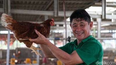 Potret Robby Jadi Agen BRILink Nyambi Ternak Ayam Petelur di Likupang