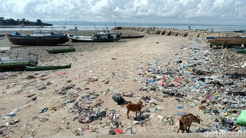 Pantai di Kampung Nelayan Bajo, Kecamatan Sulamu, Kabupaten Kupang, NTT, yang penuh sampah. (Yufengki Bria/detikBali).