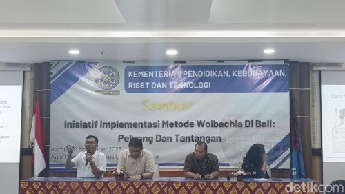 Seminar Inisiatif Implementasi Metode Wolbachia di Bali: Tantangan dan Peluang di gedung FISIP Universitas Udayana, Denpasar, Bali, Kamis (30/11/2023).(Ni Made Lastri Karsiani Putri/detikBali)
