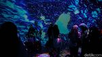 Bermandikan Cahaya di Disney Wish Exhibition