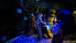 Bermandikan Cahaya di Disney Wish Exhibition