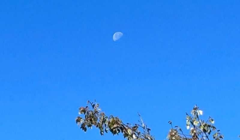 Bulan di siang hari
