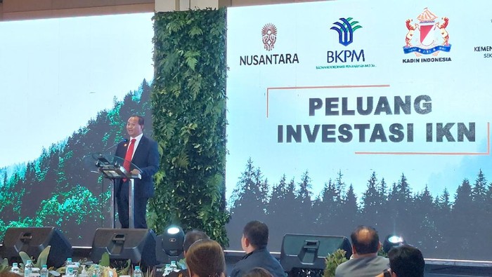 Deputi Bidang Pendanaan dan Investasi IKN Agung Wicaksono.