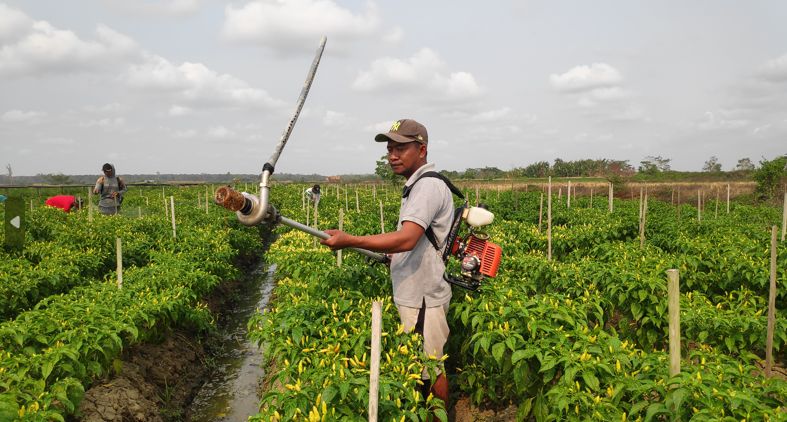 Fidayat Rahman, petani di Merauke membuat alat siram tanaman terbuat dari mesin pemotong rumput.