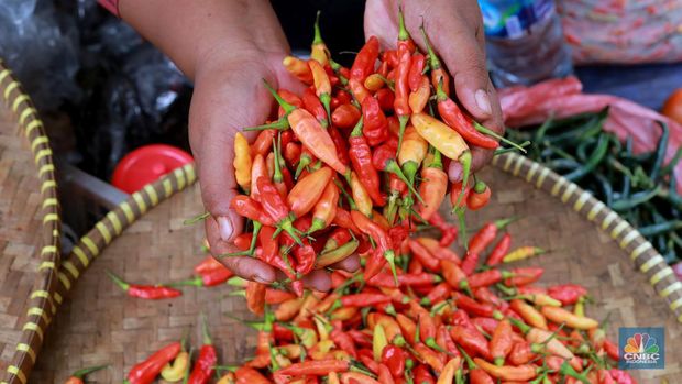 Harga cabai masih menjadi komoditas yang mengalami kenaikan pada Jumat (1/12). Harga cabai merah dan cabe rawit telah mengalami kenaikan dari beberapa minggu lalu. (CNBC Indonesia/Muhammad Sabki)