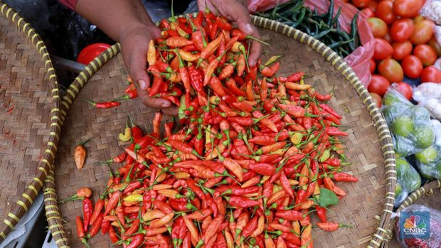 Harga cabai masih menjadi komoditas yang mengalami kenaikan pada Jumat (1/12). Harga cabai merah dan cabe rawit telah mengalami kenaikan dari beberapa minggu lalu. (CNBC Indonesia/Muhammad Sabki)
