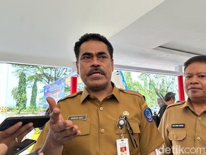 Target Pemprov Sulsel Ekspor Hasil Budi Daya 1 M Pisang ke 4 Negara di 2025