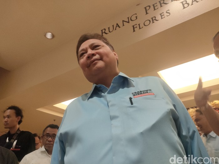 Ketum Golkar Airlangga Hartarto (Dwi Rahmawati/detikcom)