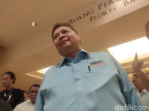 Airlangga soal Cerita Jokowi Minta Setop e-KTP: Golkar Itu Korban