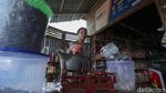 Kisah Transmigran Jawa Bantu Ekonomi Petani Merauke