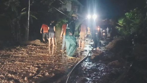 Tim Reaksi Cepat (TRC) BPBD Gianyar melakukan penanganan pohon tumbang yang menutupi  jalan di Tegallalang, Gianyar, Bali, Jumat (1/12/2023).