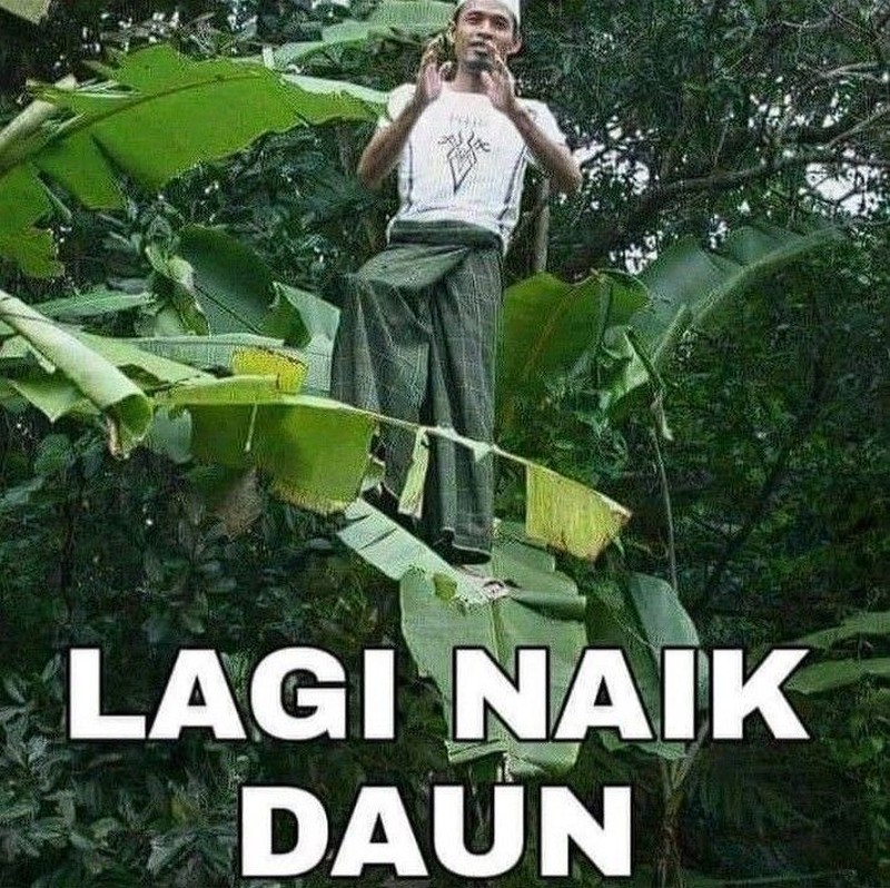 Meme berikut ini benar tapi salah. Idenya benar-benar mind blowing dan bikin nyengir yang ngelihatnya.