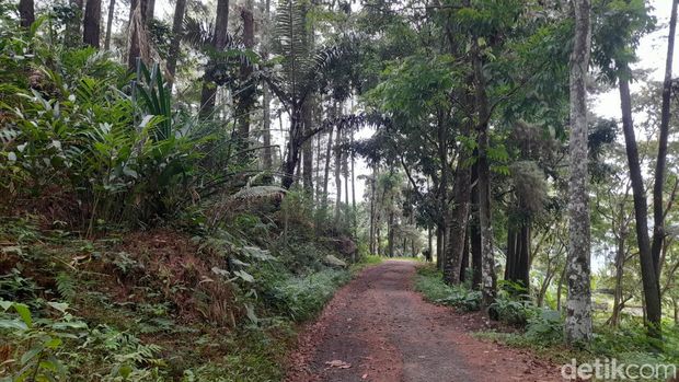 Menikmati udara segar di Cipadayungan Kabupaten Sumedang.