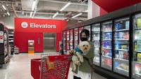 Tinggal di Amerika, NIKI sering membagikan momennya ketika berbelanja. Salah satunya ketika berbelanja di sebuah supermarket bersama anjing kesayangannya. Foto: Instagram @nikizefanya