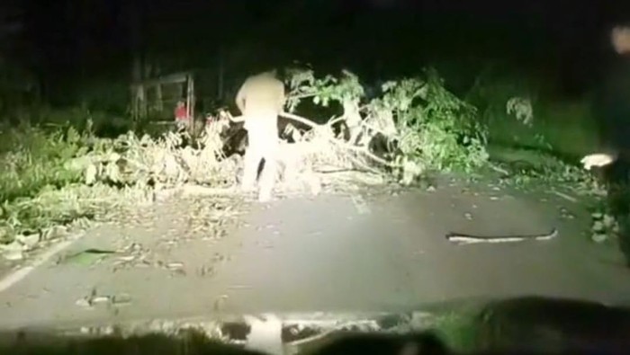 Para pria yang melakukan pungli modus pohon tumbang. (Foto: Istimewa).
