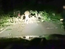 Momen Pungli Modus Tutup Jalan Pakai Pohon di Tapsel