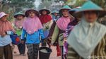 Pemberdayaan Perempuan di Lahan Cabai Merauke