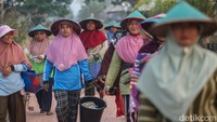 detikcom bersama BRI tengah mengadakan program Jelajah Desa Brilian yang mengulas potensi dan inovasi desa di Indonesia baik dari segi perkembangan ekonomi, infrastruktur, hingga wisata serta dampaknya terhadap masyarakat lokal maupun nasional. Untuk mengetahui informasi program Desa BRILian lebih lanjut, ikuti terus informasinya hanya di jelajahdesabrilian.detik.com