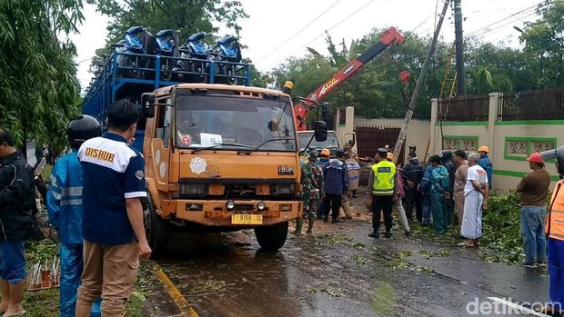 Petugas mengevakuasi pohon tumbang di Jalan Slamet Riyadi, Pantura Batang, Jumat (1/12/2023) sore.