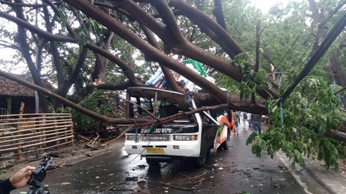 Bus antarkota jurusan Bima-Huu Dompu tertimpa pohon akibat hujan deras disertai angin kencang.