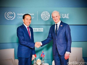 Di Depan PM Norwegia, Jokowi Sebut UU Deforestasi Eropa Rugikan 16 Juta Petani RI