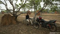 Menjadi mantri di ujung timur Indonesia menjadi tantangan sendiri bagi Salfrianto Patulak (30), selain bertemu dengan nasabah ia juga kerap bertemu ular hingga jatuh bangun dari parit akibat jalan yang rusak.