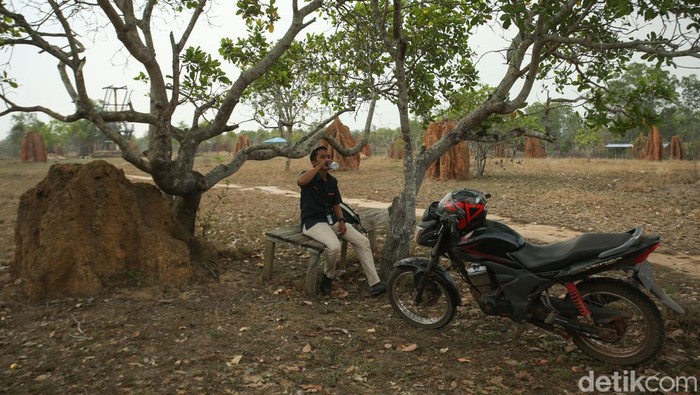 Tantangan Mantri BRI di Ujung Timur Indonesia, Bertemu Ular hingga Masuk Parit Tantangan Mantri BRI di Ujung Timur Indonesia, Bertemu Ular hingga Masuk Parit