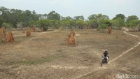Mantri BRI asal Toraja ini telah dua tahun menjadi mantri BRI, kini Anto bertugas di Kampung Salor Indah, Kurik, Merauke.