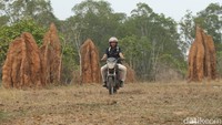Kampung yang mayoritas transmigran asal Jawa ini kebanyakan berprofesi sebagai petani, hal tersebut membuatnya akrab dengan area persawahan.