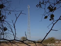 Bakti Bangun 90 Tower BTS di Sumba Timur Guna Merdeka Sinyal