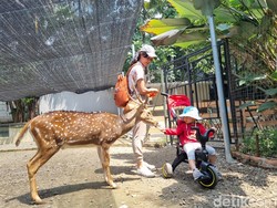 Main ke Jakarta Escape, Paling Asyik Akhir Pekan