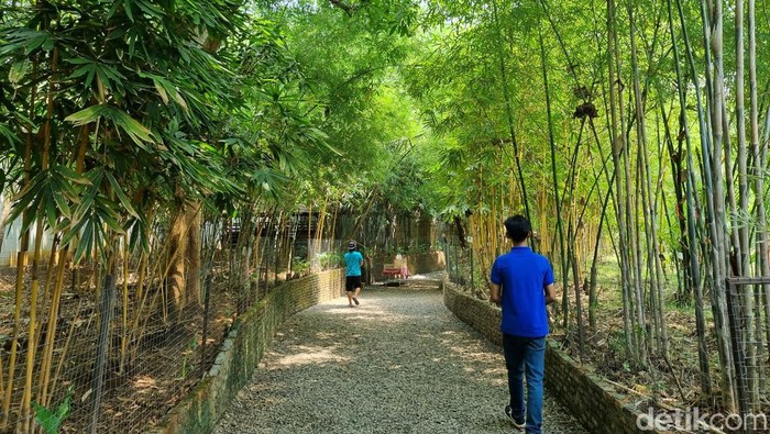 Rumah Perubahan Jakarta Escape di Bekasi.