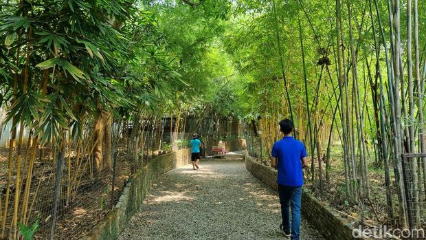 Rumah Perubahan Jakarta Escape di Bekasi.