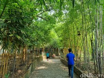 Pengunjung Nggak Nyangka, Ada Taman Hijau Luas di Bekasi